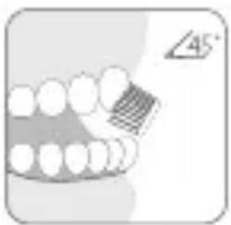 JIMMY T6 - Utilisation de la tête de brosse à dents - 3