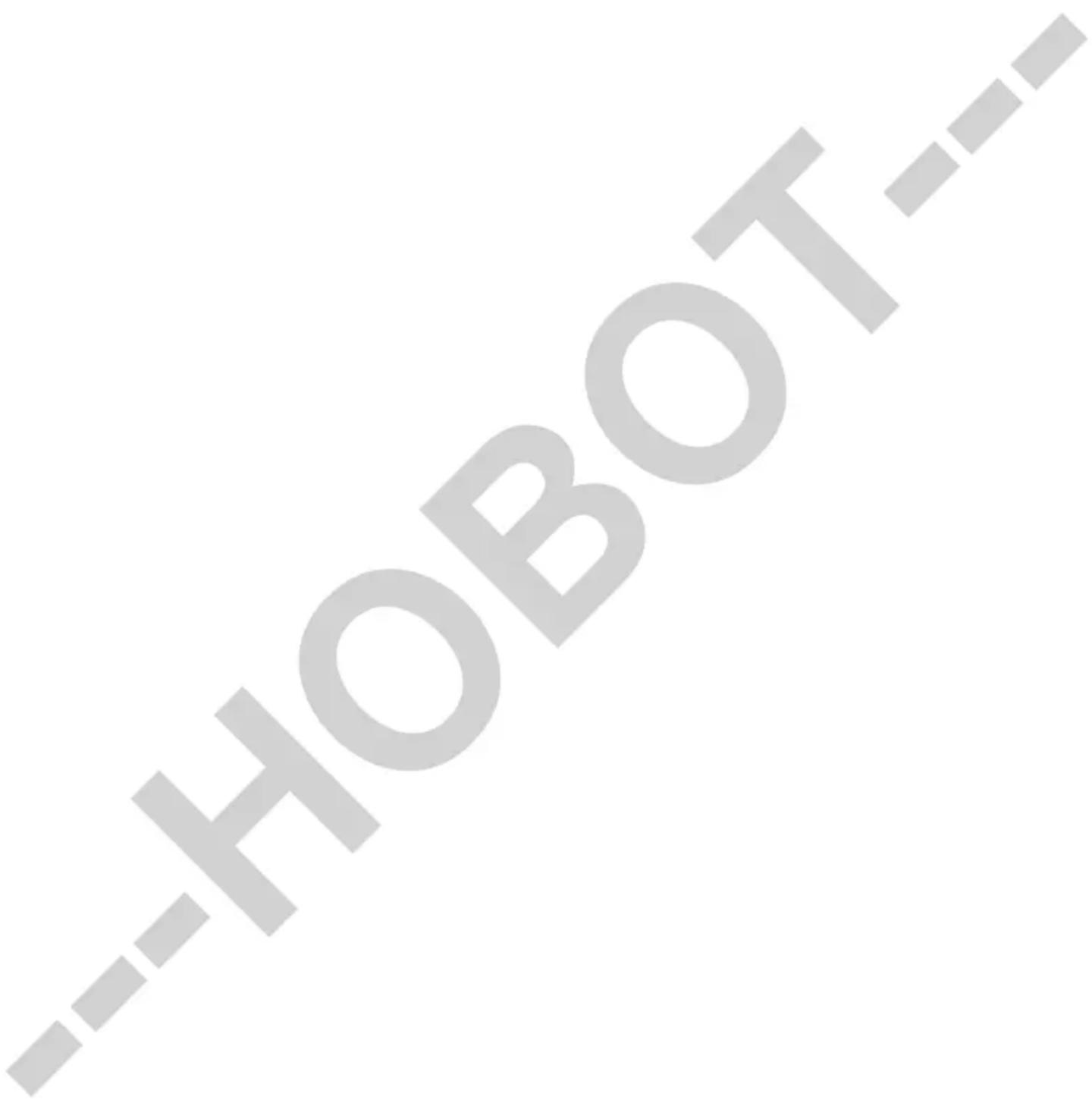 HOBOT-