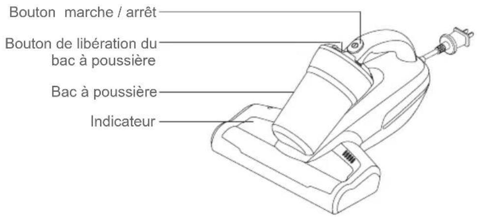 JIMMY Antimite UV WB41 - 1