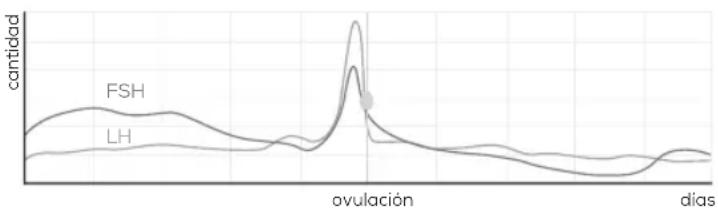 BEURER Pearl OT 80 - ¿Có como funciona el sistema Pearl Fertility? - 1