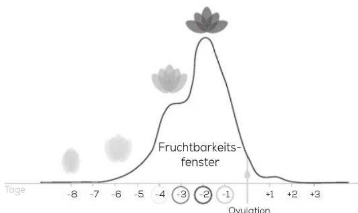 BEURER Pearl OT 80 - Wie Funktioniert das Pearl-Fertility-System? - 2