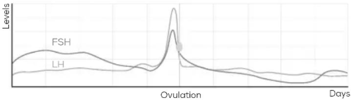BEURER Pearl OT 80 - How does the Pearl Fertility System work? - 1