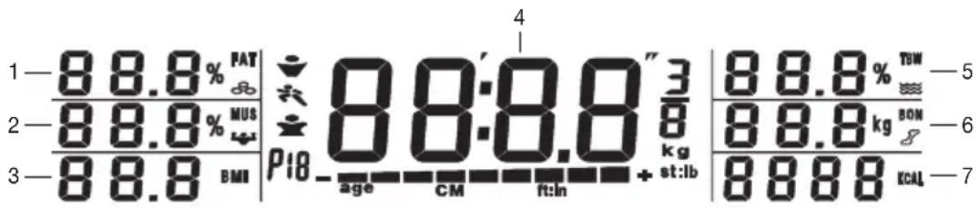 BEURER BG 51 - Przeprowadzanie pomiarów - 2