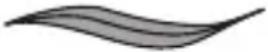 REMINGTON comPROluxe CI91AW - De stijl selecteren - 1