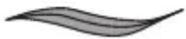 REMINGTON comPROluxe CI91AW - Selectarea stilului - 1