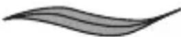 REMINGTON comPROluxe CI91AW - Wybieranie fryzury - 1