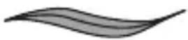 REMINGTON comPROluxe CI91AW - Şekil seçimi - 1