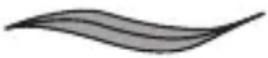 REMINGTON comPROluxe CI91AW - Selezionare lo stile - 1