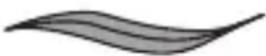 REMINGTON comPROluxe CI91AW - Valg af stil - 1
