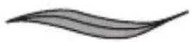 REMINGTON comPROluxe CI91AW - Выбор типа укладки - 2