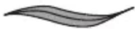 REMINGTON comPROluxe CI91AW - Selecting the style - 1