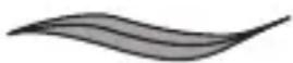 REMINGTON comPROluxe CI91AW - Selección del peinado - 1