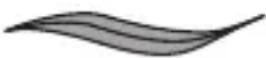 REMINGTON comPROluxe CI91AW - Sélection du style - 1