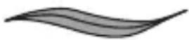 REMINGTON comPROluxe CI91AW - Volba stylu - 1