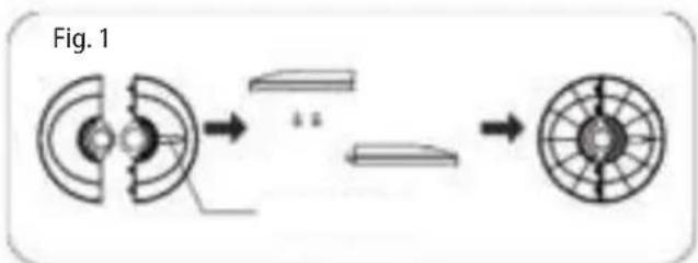 Fig. 1