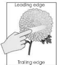 Leading edge Trailing edge