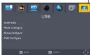 Valueline VLSDVBS2FTA1 - USB - 1