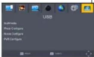 Valueline VLSDVBS2FTA1 - "USB" - 1