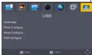 Valueline VLSDVBS2FTA1 - "USB" - 1