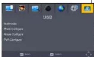 Valueline VLSDVBS2FTA1 - "USB" - 1