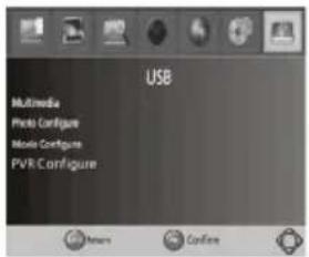 Valueline VLSDVBT2FTA1 - "USB" - 1