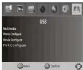 Valueline VLSDVBT2FTA1 - "USB" - 1