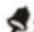KONIG HCKS32N - INDICATORI DI ATTENZIONE - 2