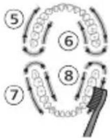PHILIPS Sonicare Protect Clean HX6481 - Standen - 5