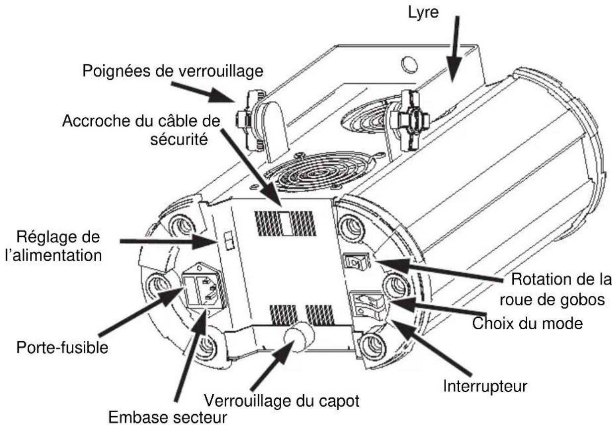 MARTIN Mania EF1i - Déballage - 1