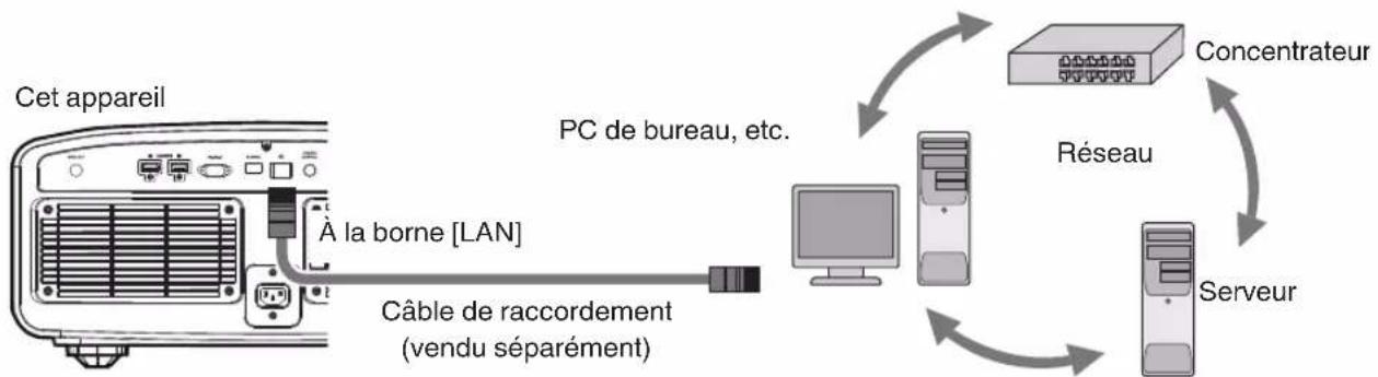 JVC DLA25LTD - Connexion à la borne LAN - 1