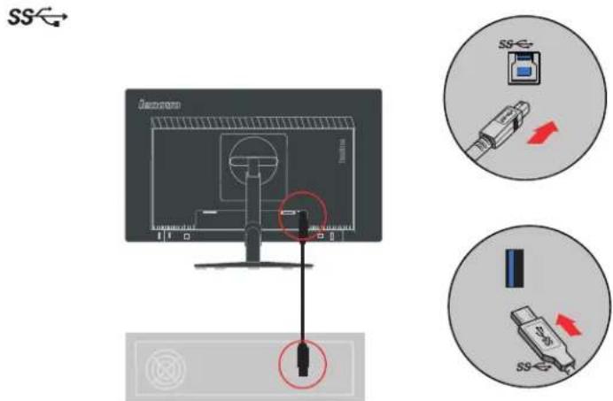 LENOVO ThinkVision T2424p - Connexion et mise en marche de votre moniteur - 9