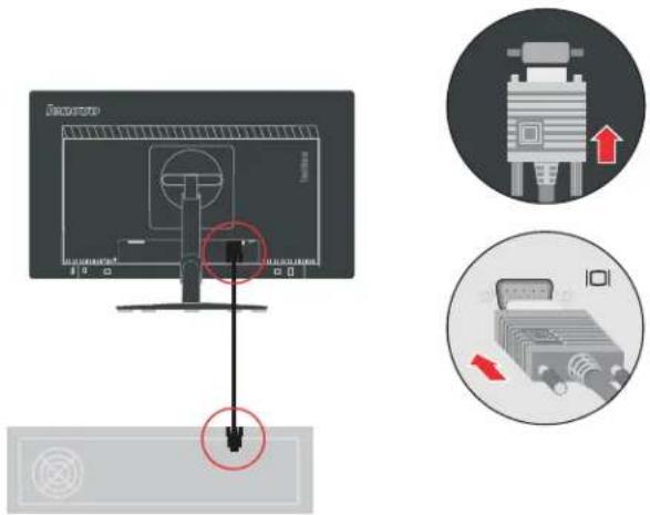 LENOVO ThinkVision T2424p - Connexion et mise en marche de votre moniteur - 7
