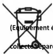 LIVOO DOP223 - Notice d'utilisation - 1