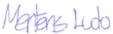 PowerPlus POWC40200 - POWERPLUS POWC40200 PT 16 DECLARACAO DE CONFORMIDADE - 3