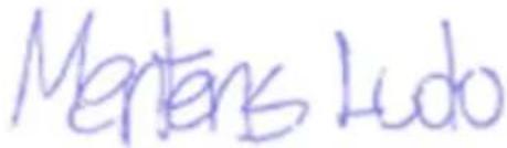 PowerPlus POWC40200 - POWERPLUS POWC40200 NL 16 CONFORMITEITSVERKLARING - 3