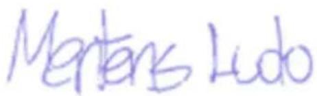 PowerPlus POWC40200 - VAATIMUSTENMUKAISUUSVAKUUTUS - 3