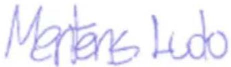 PowerPlus POWC40200 - POWERPLUS POWC40200 RO 16 DECLARATIA DE CONFORMITATE - 3