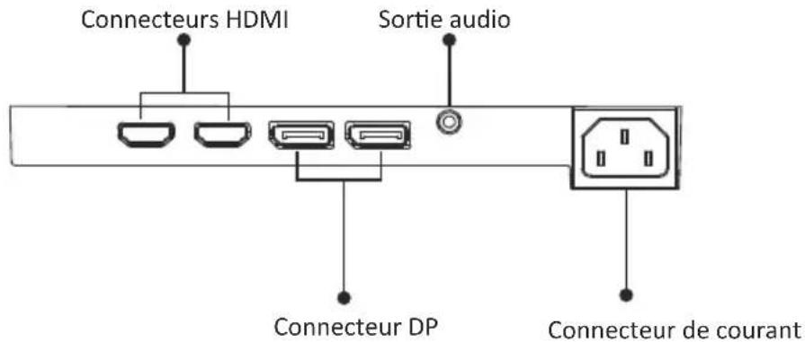 LC-Power M32QHD165C - Les options de connectivité - 1