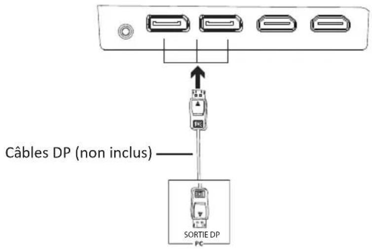 LC-Power M34UWQHD144C - Connectivité DP - 1
