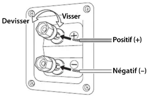 Devisser Visser Positif (+) Négatif (−)
