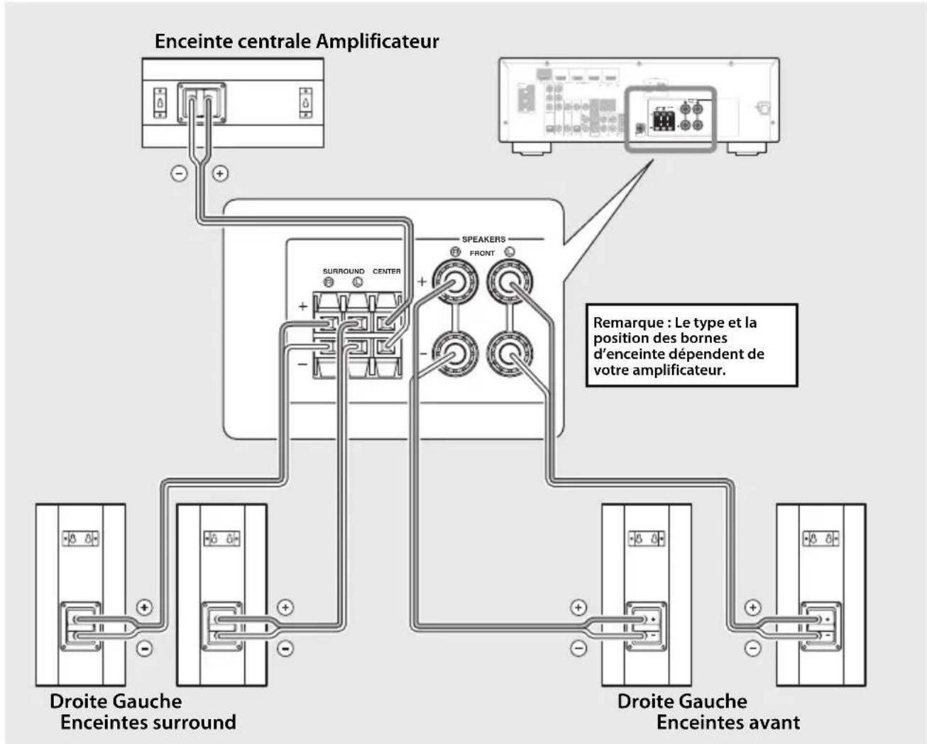 Enceinte centrale Amplificateur SPEAKERS FRONT SURROUND CENTER Remarque : Le type et la position des bornes d'enceinte dépendent de votre amplificateur. Droite Gauche Enceintes surround Droite Gauche Enceintes avant