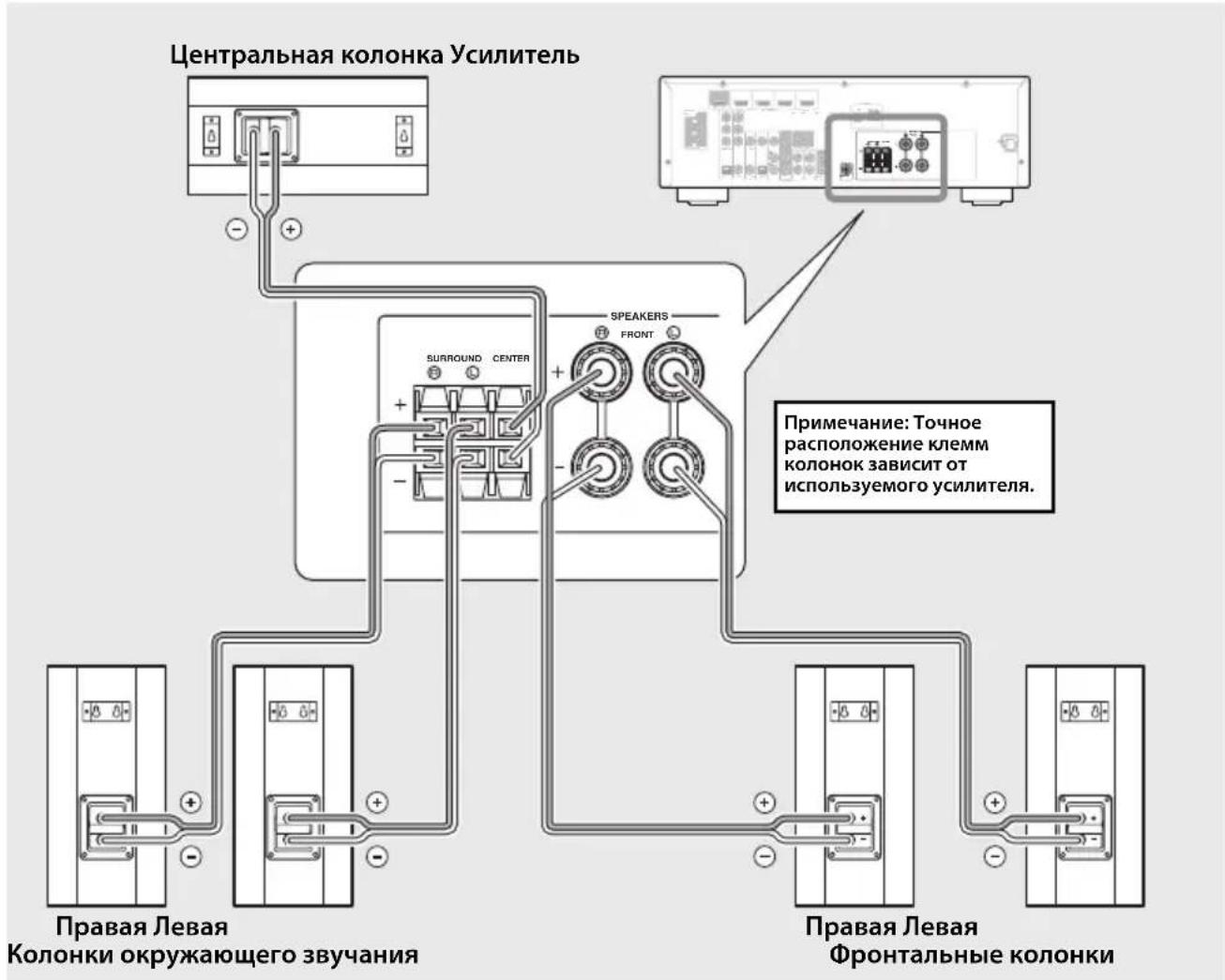 Центральная колонка Усилитель Правая Левая Колонки окружающего звучания Правая Левая Фронтальные колонки Примечание: Точное расположение клемм колонок зависит от используемого усилителя.