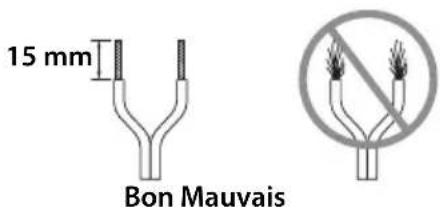 15 mm Bon Mauvais