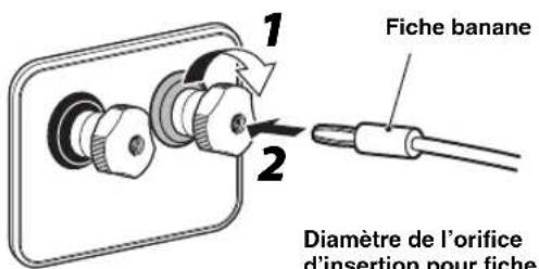 YAMAHA NS2000A - Si vous utilisez une fiche banane - 1