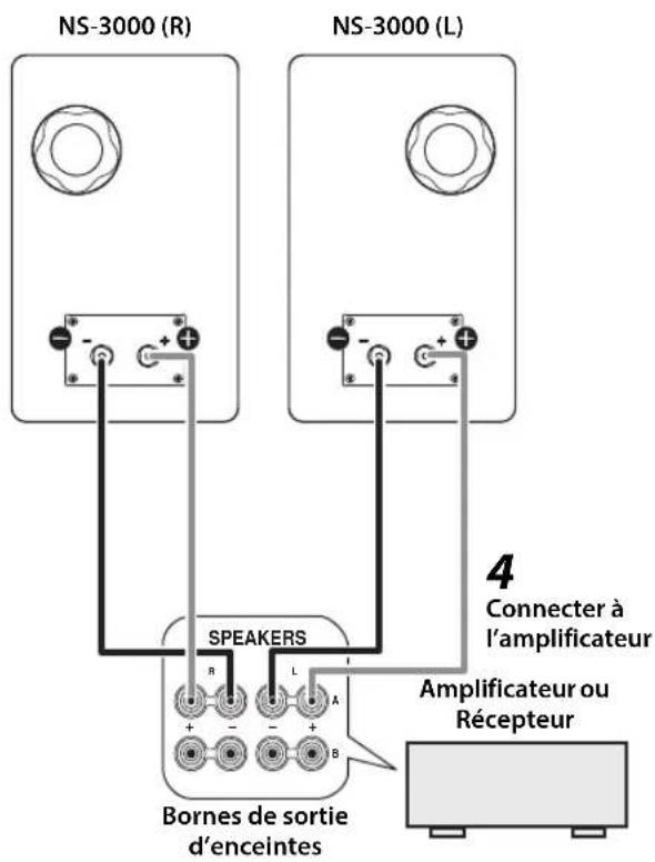 YAMAHA NS3000 - Vissez le bouton de borne de sorte à immobiliser le câble. - 1