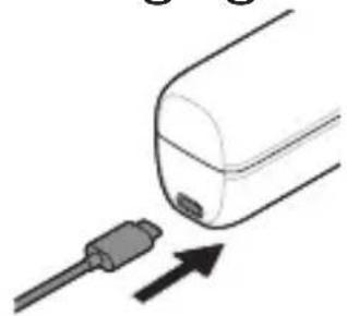 PHILIPS Sonicare 9900 Prestige HX9990 - Charging with the travel case - 1