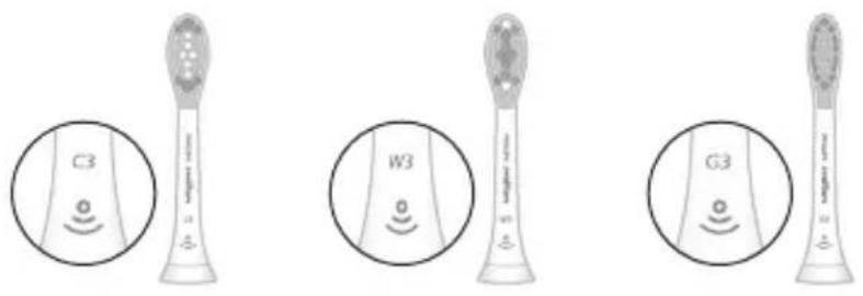 PHILIPS Sonicare ExpertClean 7300 HX9610 - Têtes de brosse - 1