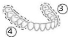 PHILIPS Sonicare ExpertClean 7300 HX9610 - Cómecepillar - 6