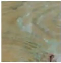 GRE 790087 - WOOD: A LIVING MATERIAL - 4