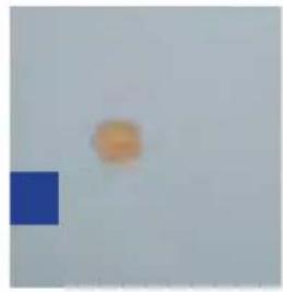 GRE 790087 - Ref.790098 - 5